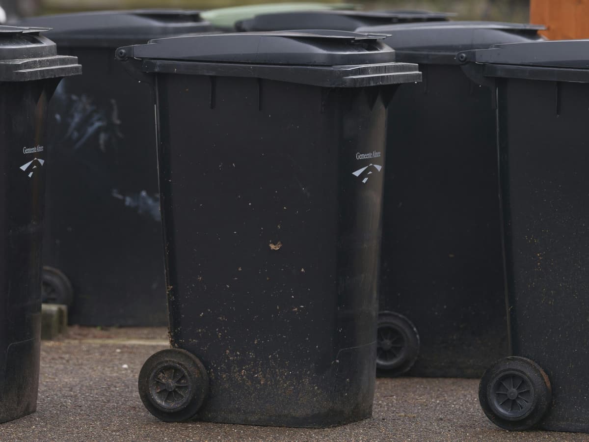 Outdoor Trash Bin Cleaning